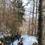 IMG_2452