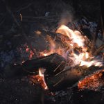 _DSC0513-